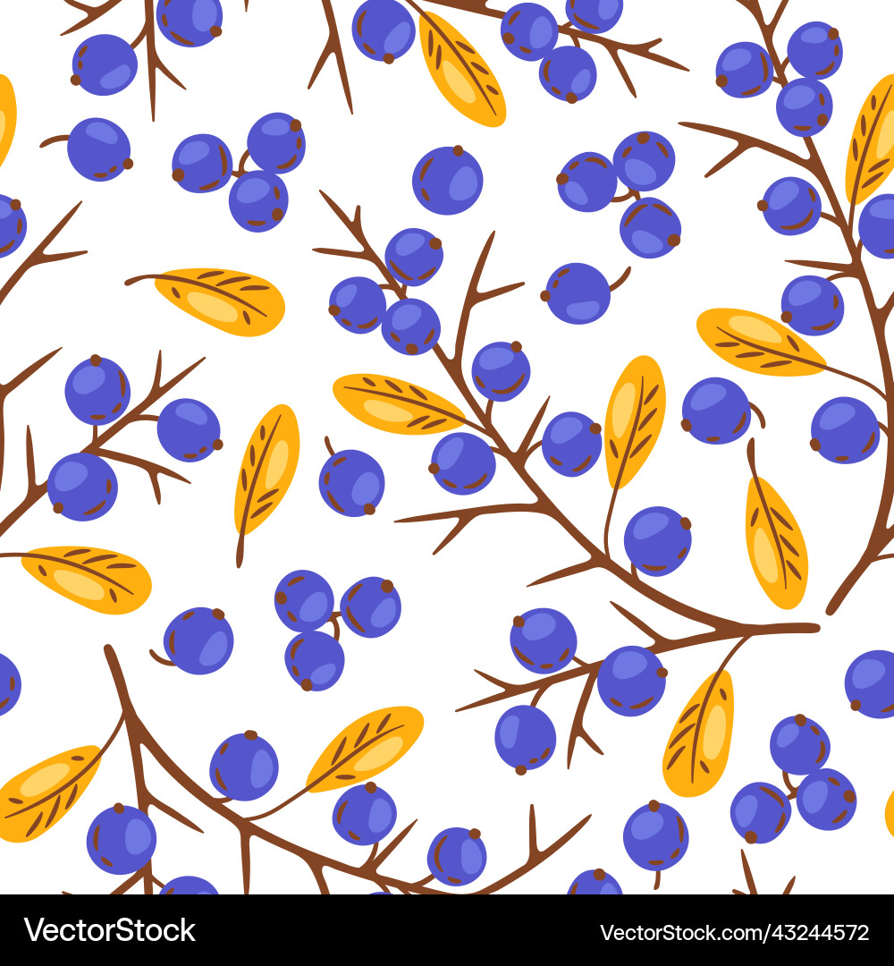 Seamless pattern of thorn with berries image Seamless pattern of thorn with berries image vector image