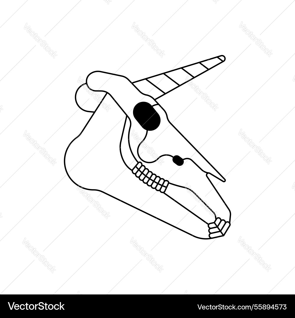 Unicorn skull isolated magic horse with horn Unicorn skull isolated magic horse with horn vector image