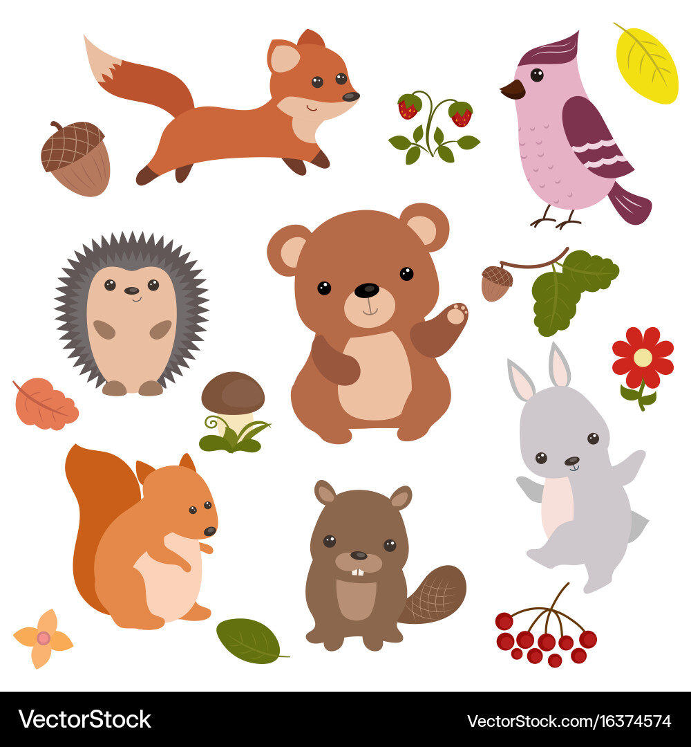 Forest Animals Set Vector Image