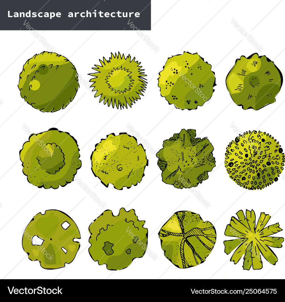 Top view set different green treeshand Top view set different green treeshand vector image