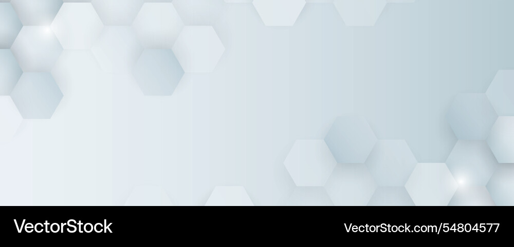Hexagon abstract background with simple polygonal Hexagon abstract background with simple polygonal Vector Image