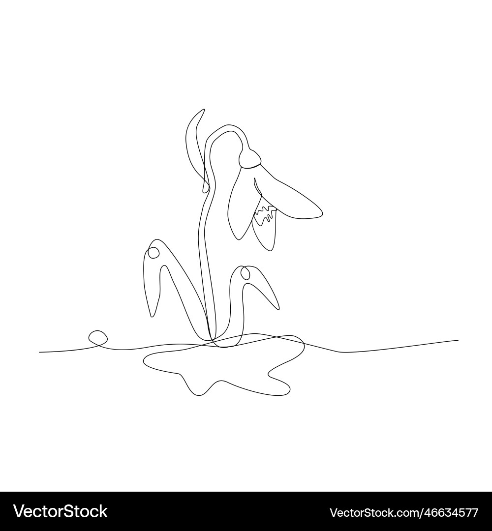Snowdrop isolated in line art style outline Vector Image