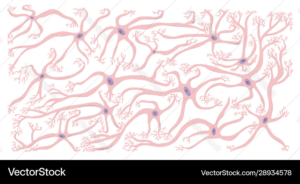 Neuron cells simple design Neuron cells simple design vector image