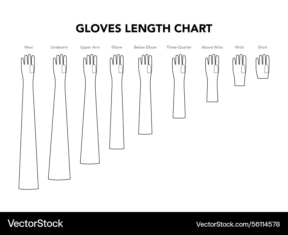 Set of gloves length chart diagram with name text Set of gloves length chart diagram with name text vector image