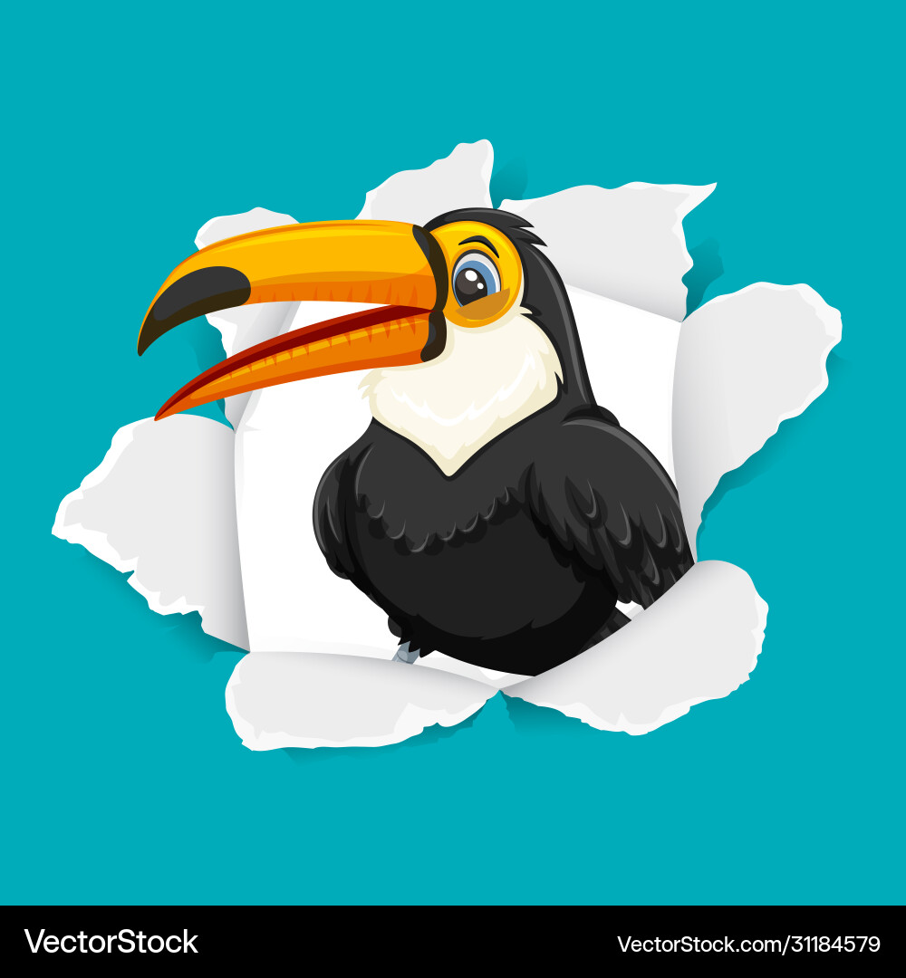 Background template design with wild toucan bird Vector Image