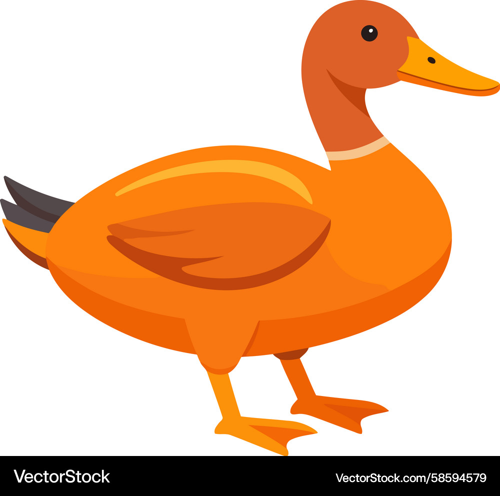 Cute Orange Duck Character Vector Image