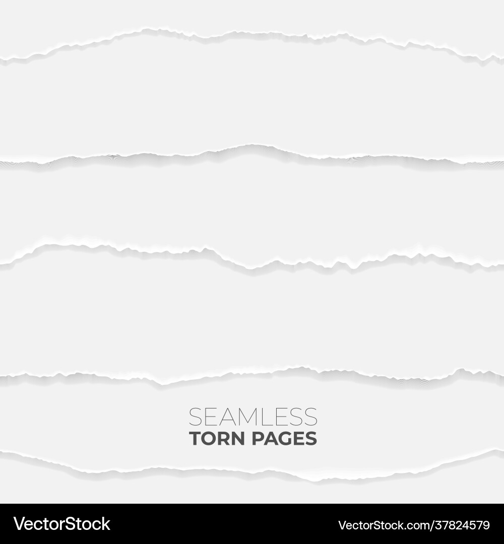 Torn Papierrand Textur Vektorbild
