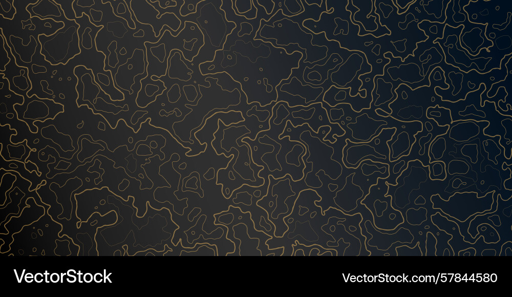 Intricate abstract lines create a unique pattern vector image