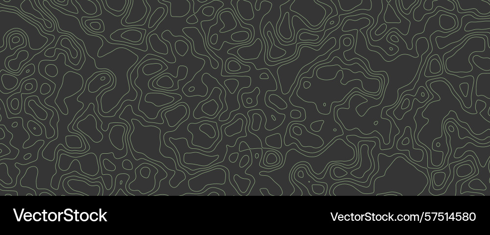 Mountain contour lines create an abstract pattern Mountain contour lines create an abstract pattern vector image