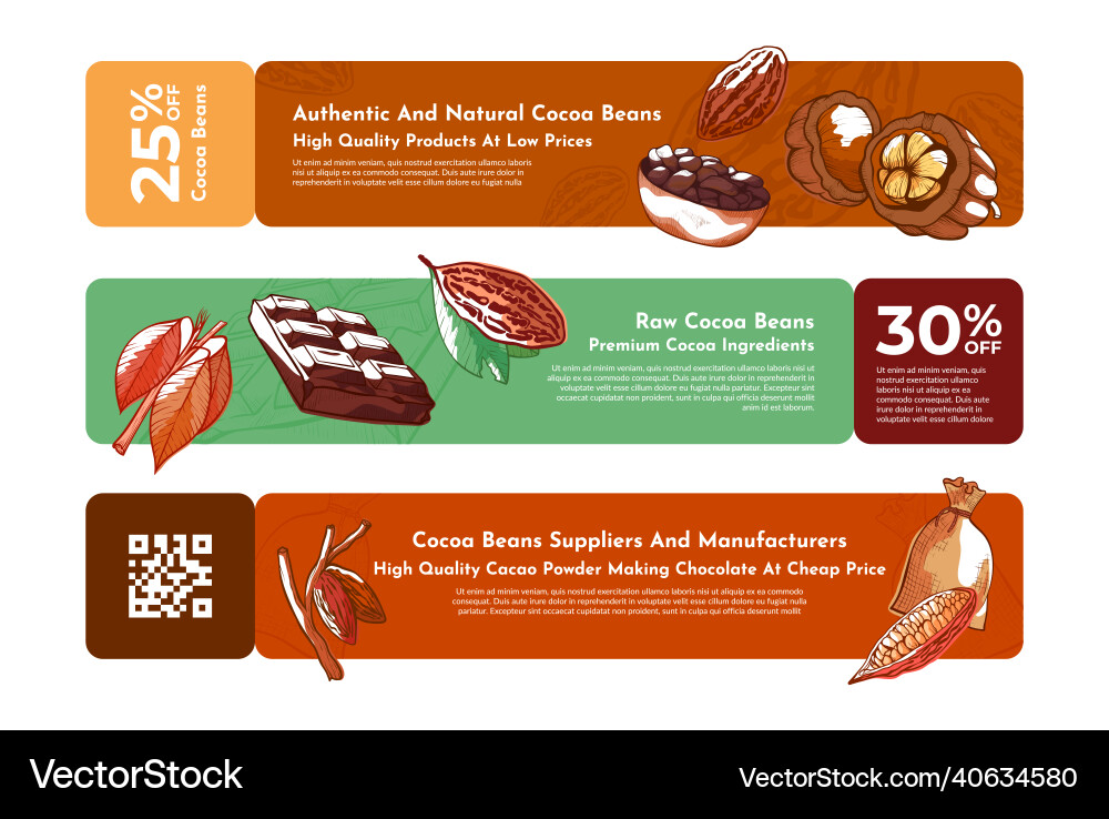 Raw cocoa beans banner set engraved Raw cocoa beans banner set engraved vector image