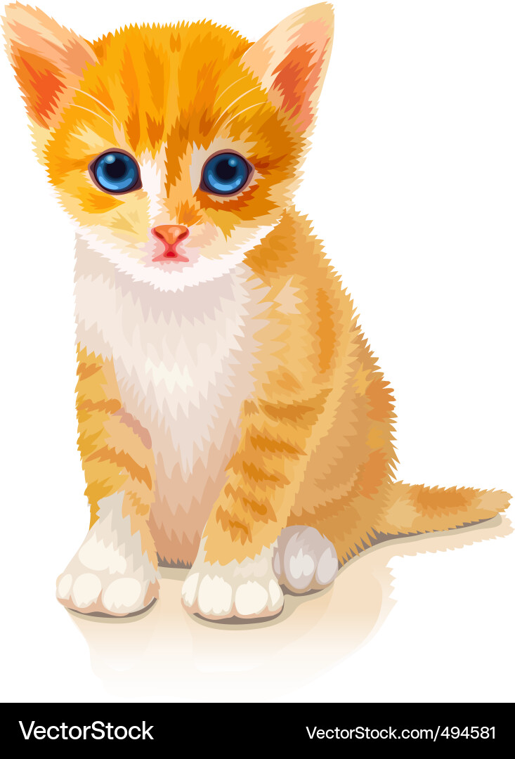 Adorable Orange Kitten Vector Image