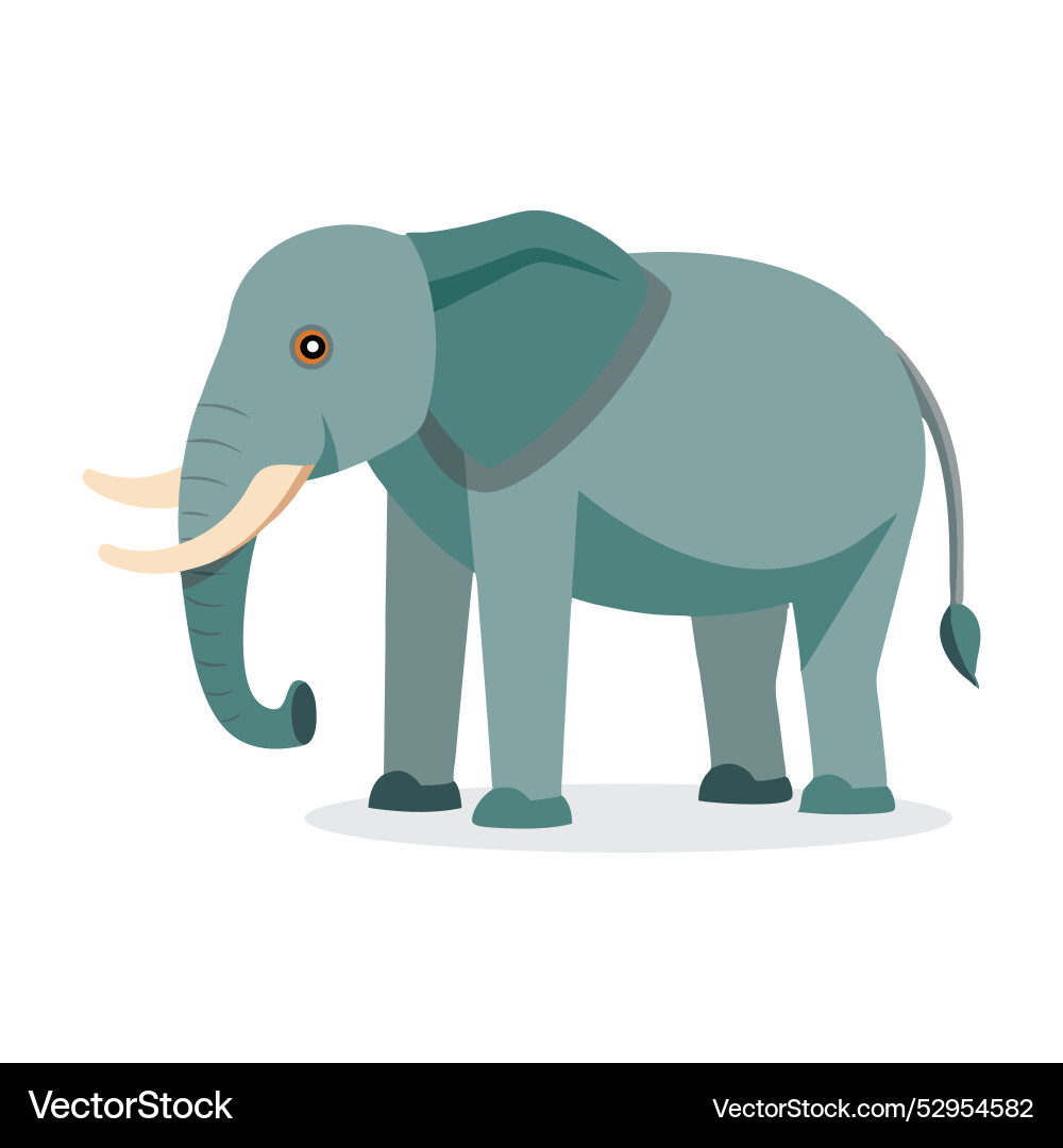 Forest elephant animal isolated flat on white Forest elephant animal isolated flat on white Vector Image