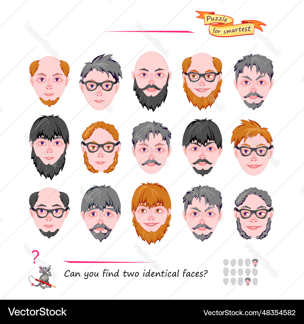 Two Faces Puzzle - Logic Game vector image