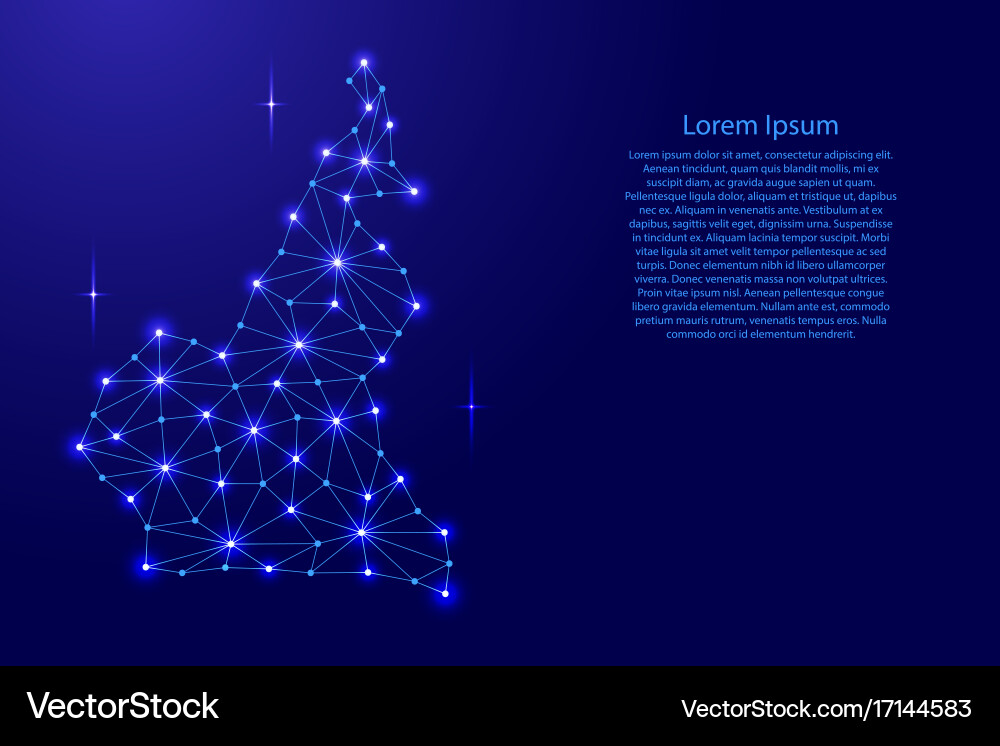 Cameroon map of polygonal mosaic lines network Vector Image