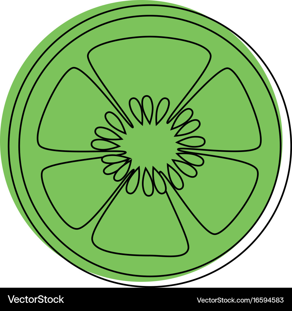 Cucumber slices icon Vector Image