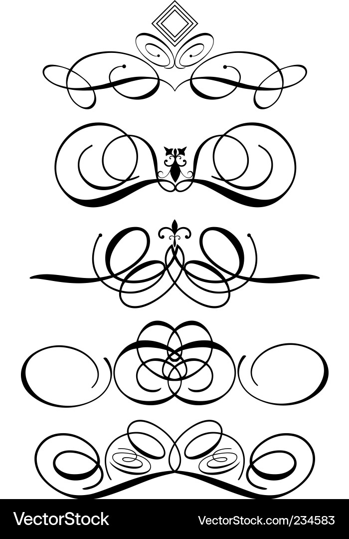 Ornate Swirls and Scrolls vector image