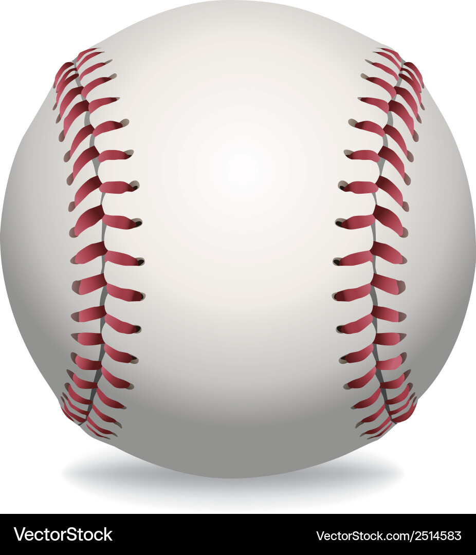 Realistic Baseball (2514583) – Royalty-Free Vector | VectorStock