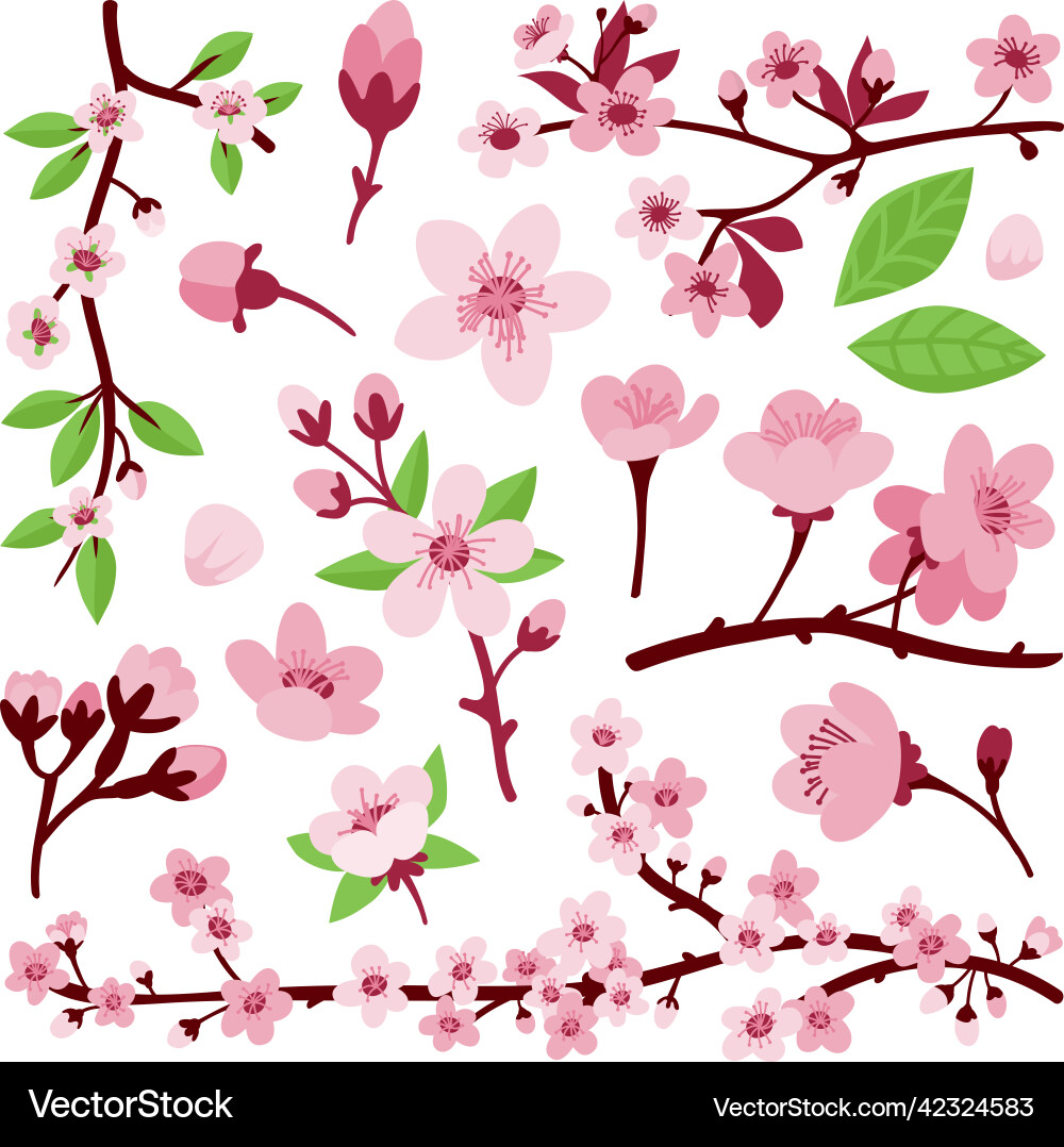 Sakura Blossom Japanese Flowers Vector Image