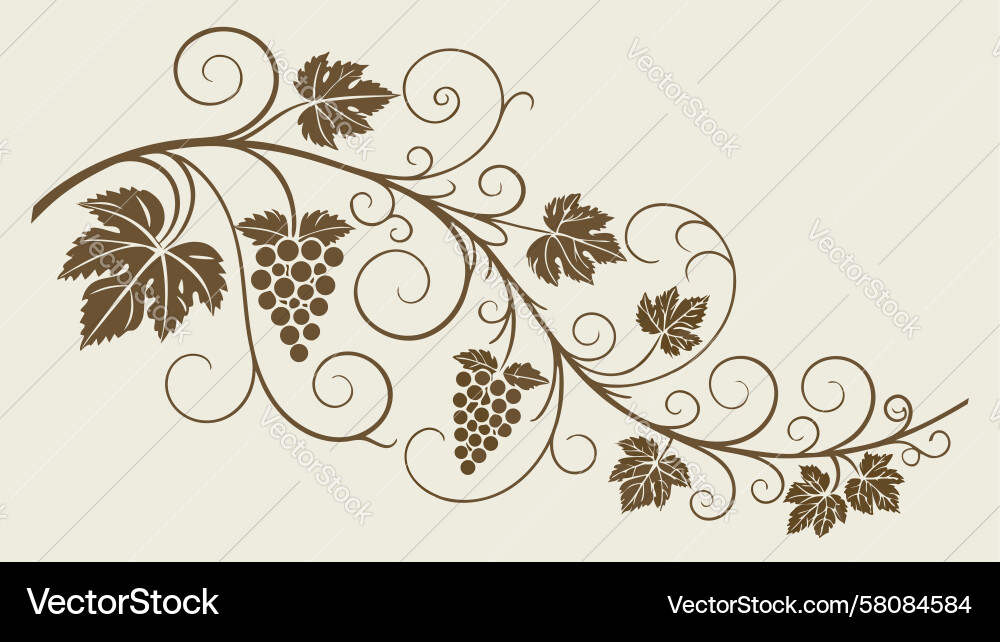 Elegant Grapevine Scroll with Grapes Vector Image