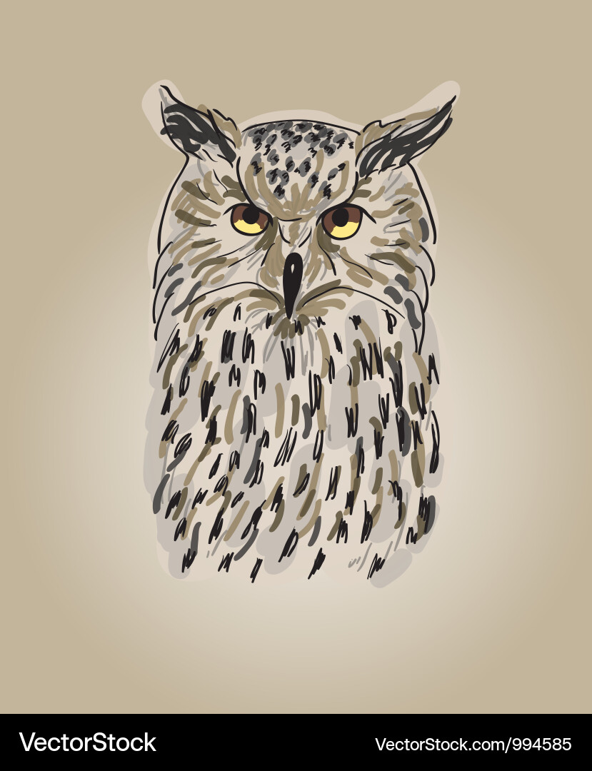 Design owls vector image
