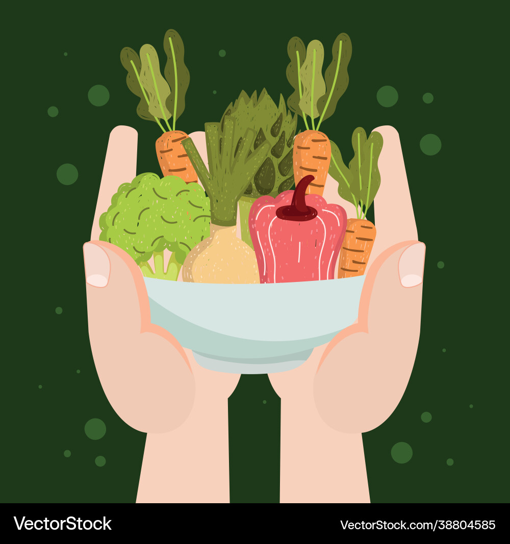 Hands with vegetables Vector Image