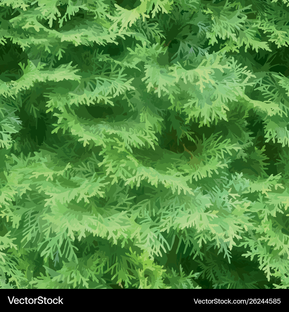Thuja tree seamless pattern background Thuja tree seamless pattern background vector image