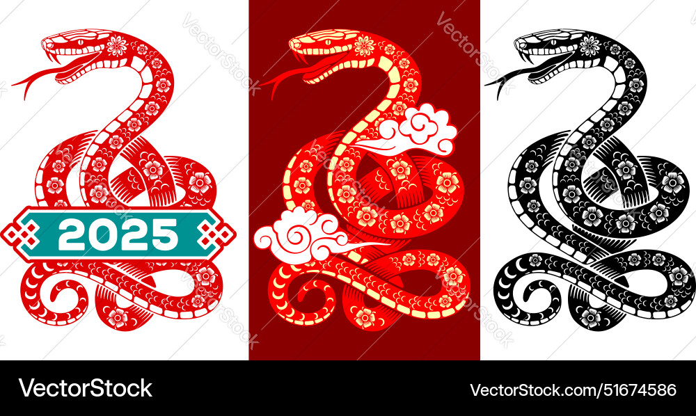 Chinese new year 2025 of the snake Chinese new year 2025 of the snake vector image