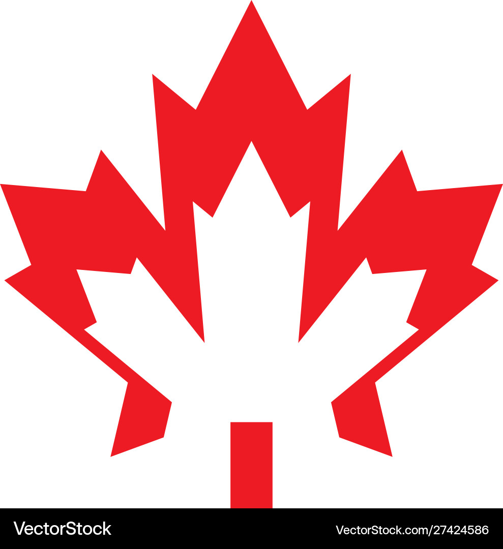 Maple leaf icon design template isolated Maple leaf icon design template isolated Vector Image