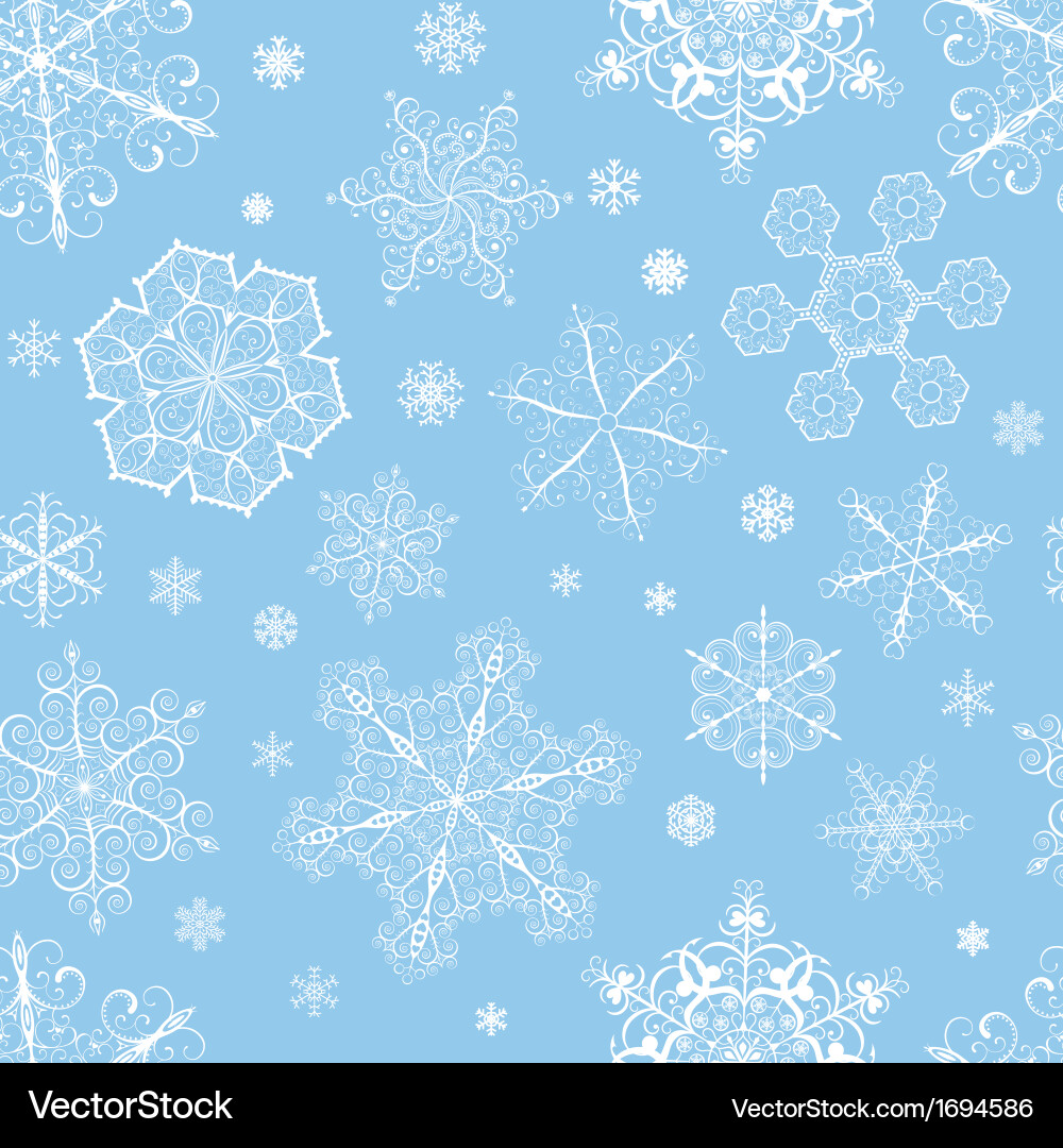 Winter Snowflake Pattern vector image