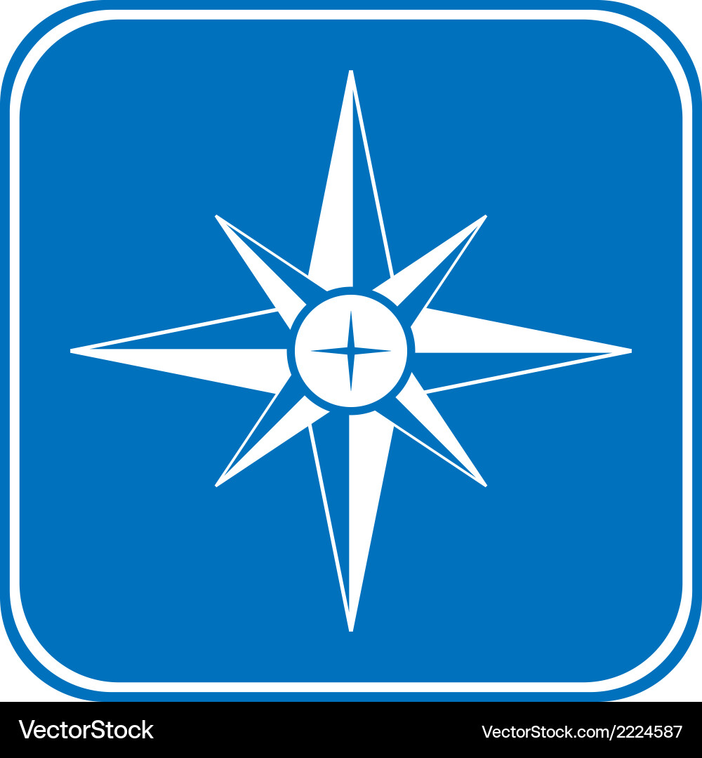 Compass button Vector Image