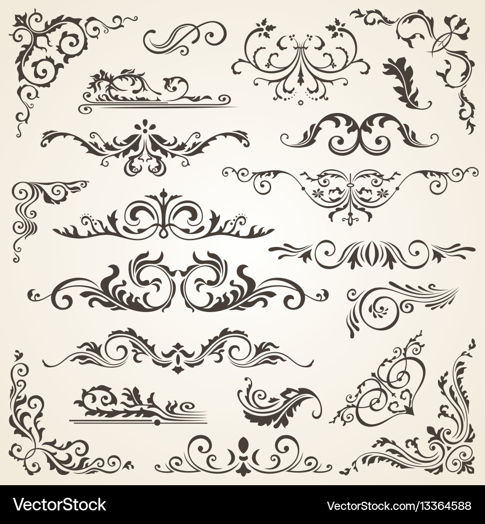Swirl & Floral Ornament Collection Vector Image