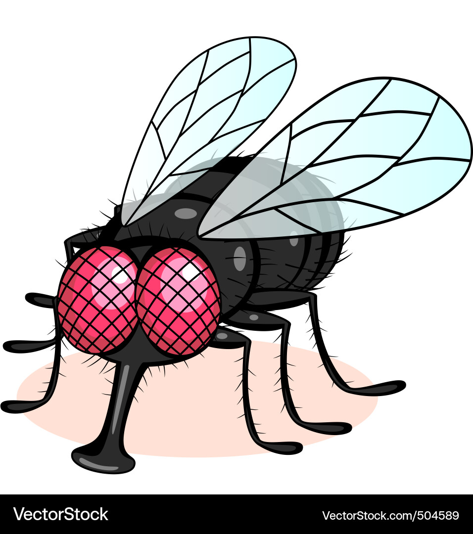 Cartoon Fly Insect Vector Image