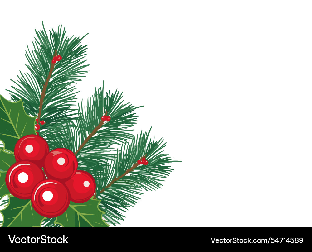 Christmas corner with fir branches and holly Christmas corner with fir branches and holly vector image