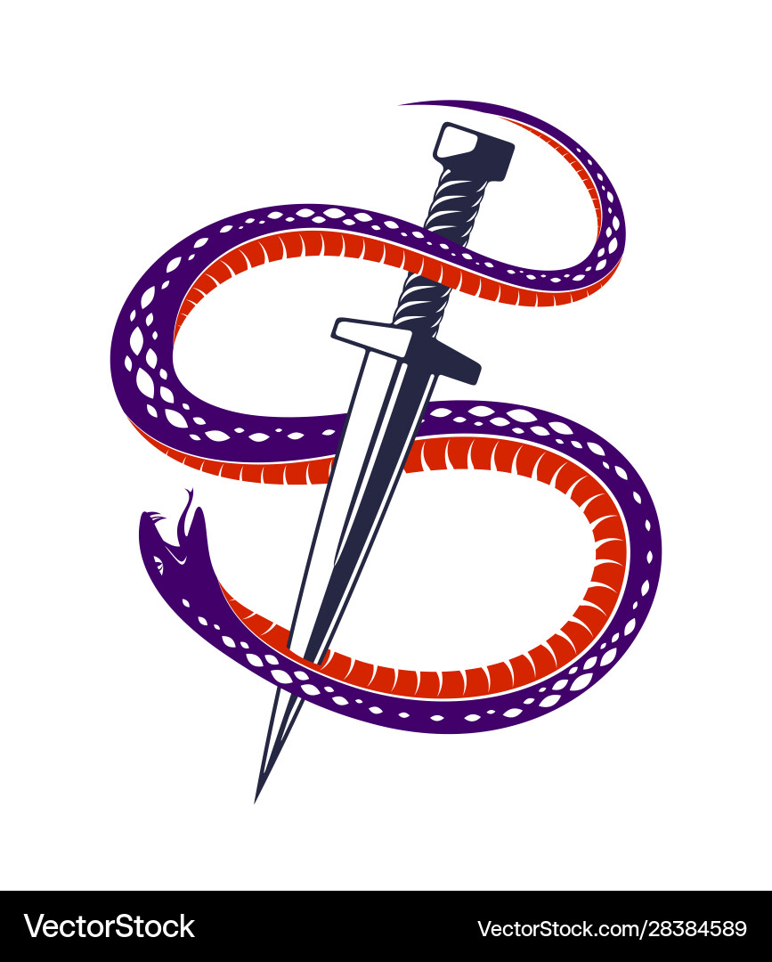 Dagger kills a snake defeated serpent wraps Dagger kills a snake defeated serpent wraps vector image