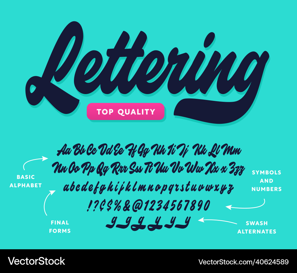 Elegant Brush Script Lettering Font vector image