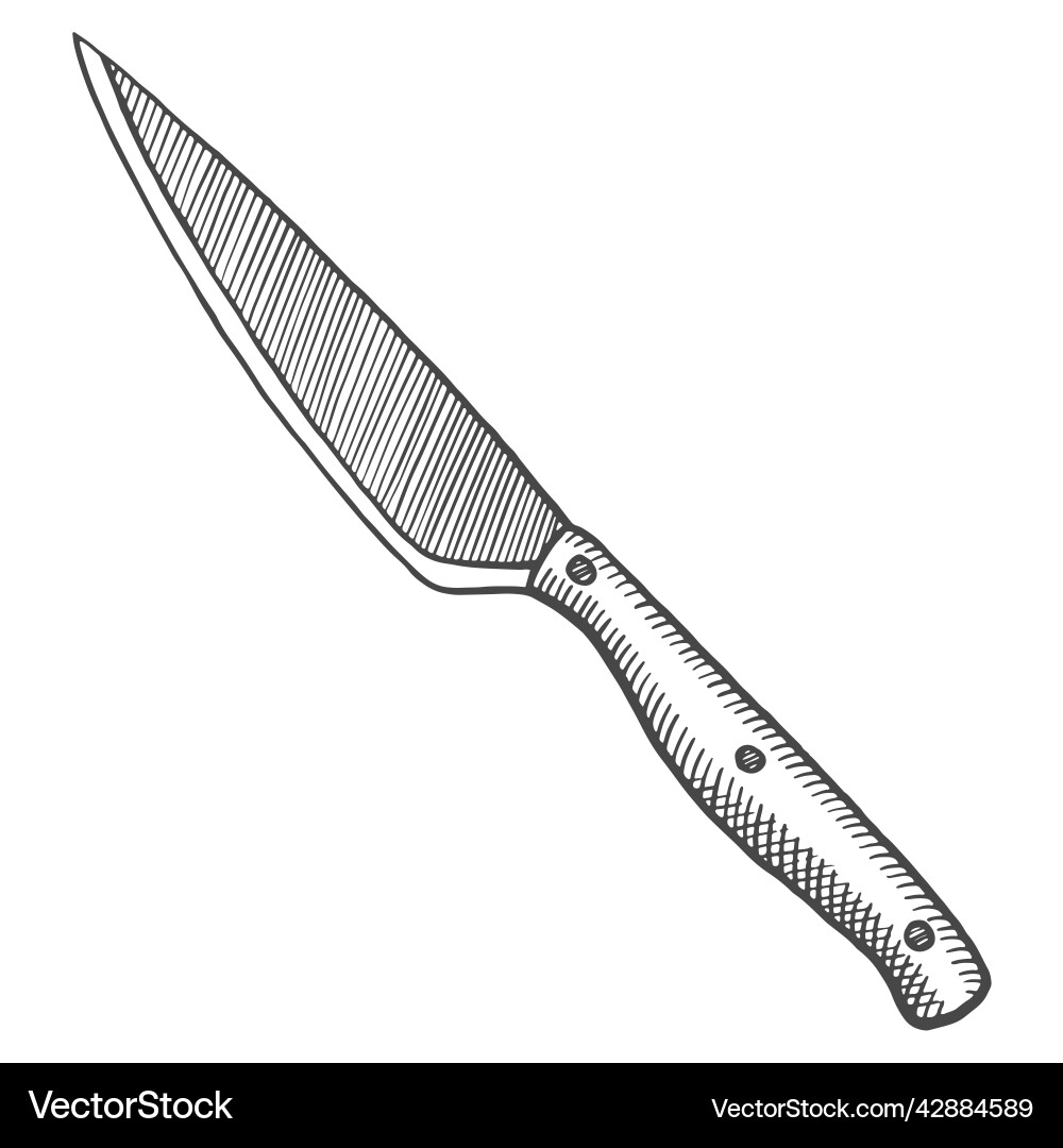 Kitchen utility knife isolated doodle hand drawn – Royalty-Free Vector |  VectorStock, image size:1000x1080