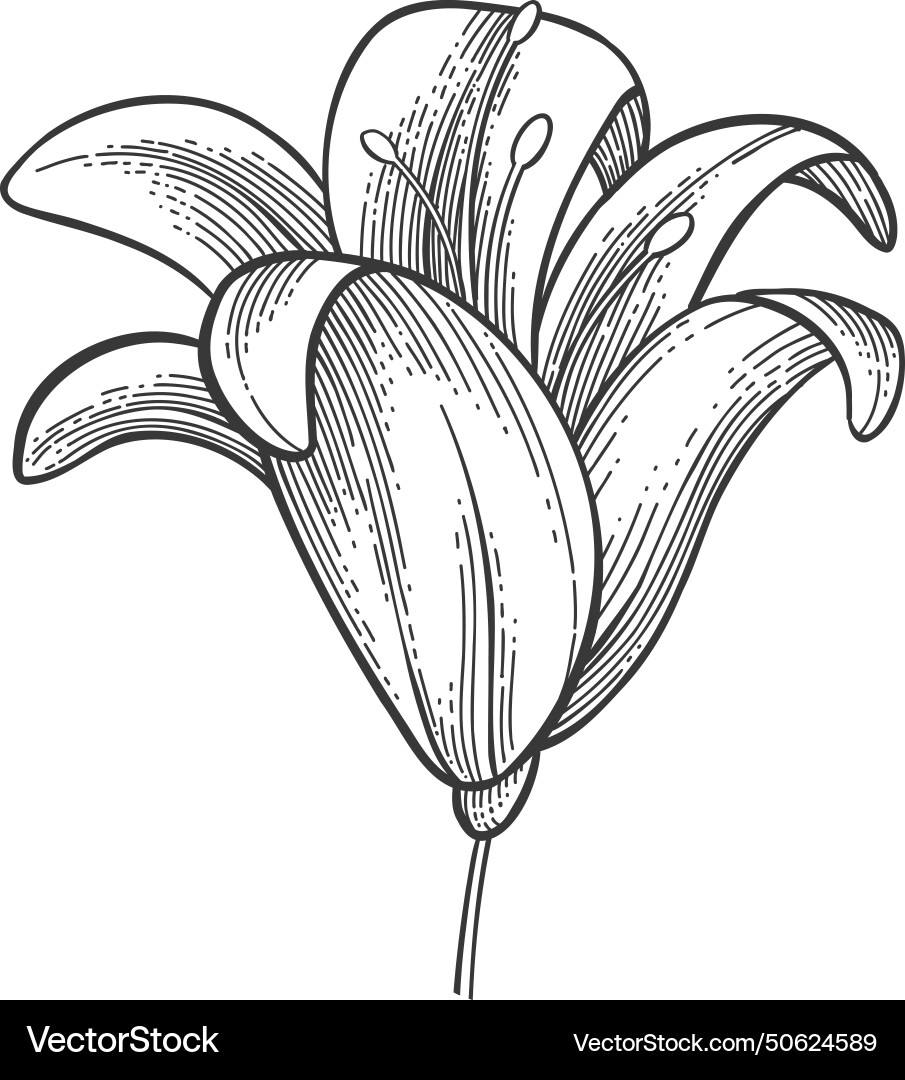 Luxus Blume und Logo trendy botanische Element Luxus Blume und Logo trendy botanische Element vektorbild
