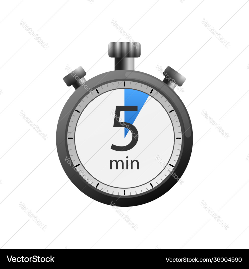 Icon a timer with 5 minutes on white Icon a timer with 5 minutes on white vector image