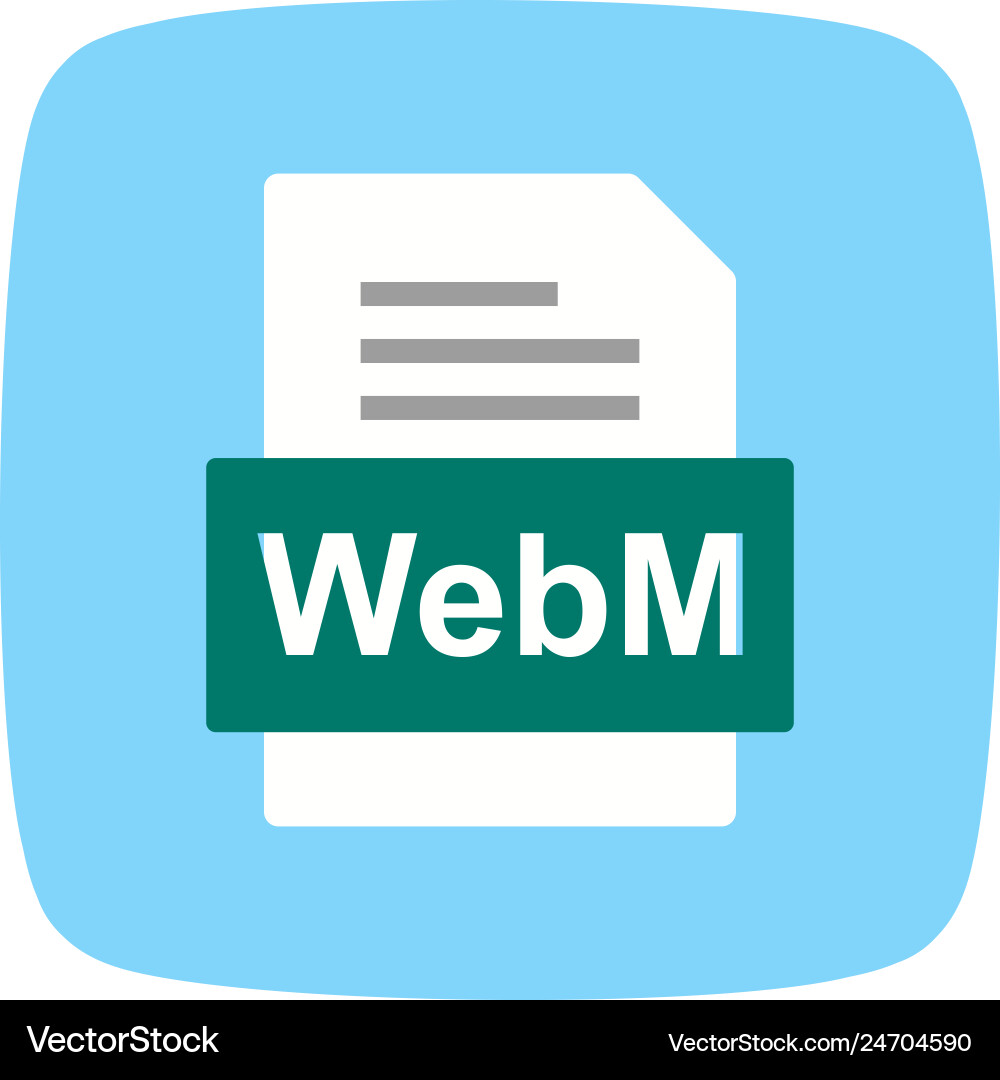 Webm file document icon vector image