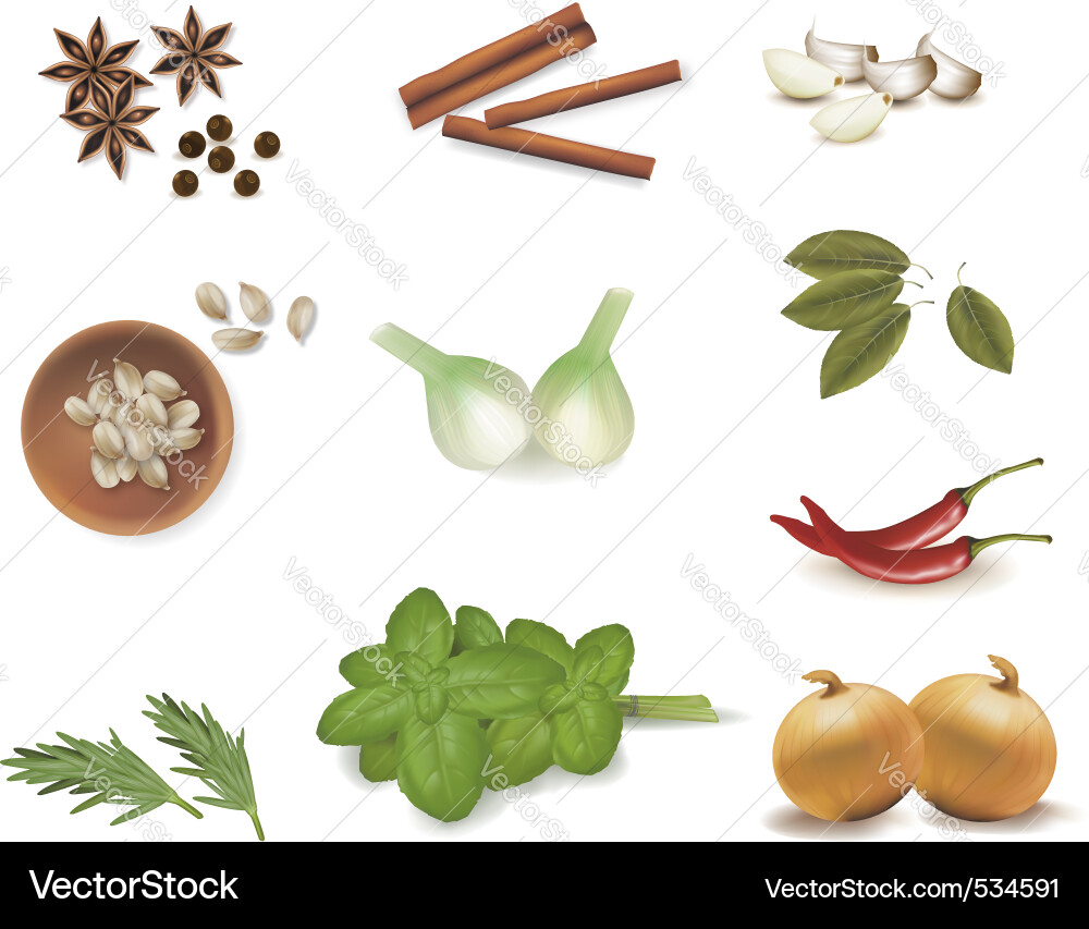 Assorted Spice Collection Vector Image