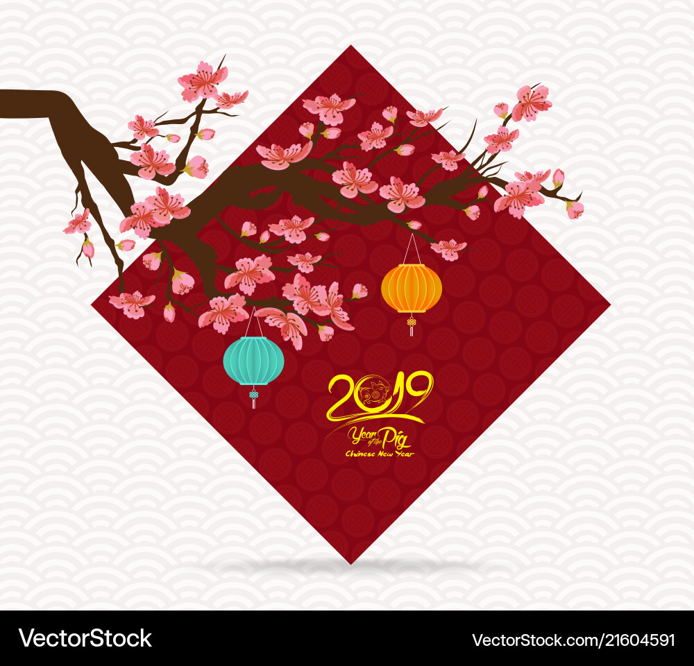Chinesisches neues Jahr 2019 Kirschblüte Gruß Chinesisches neues Jahr 2019 Kirschblüte Gruß vektorbild