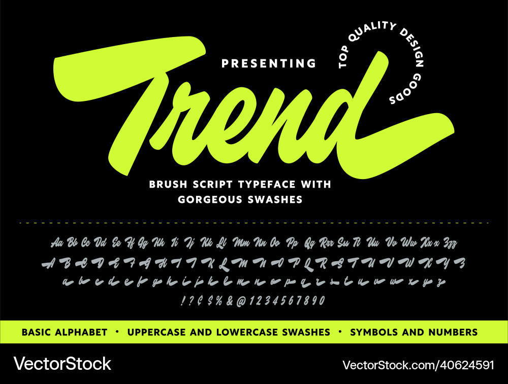 Elegant Brush Script Font vector image