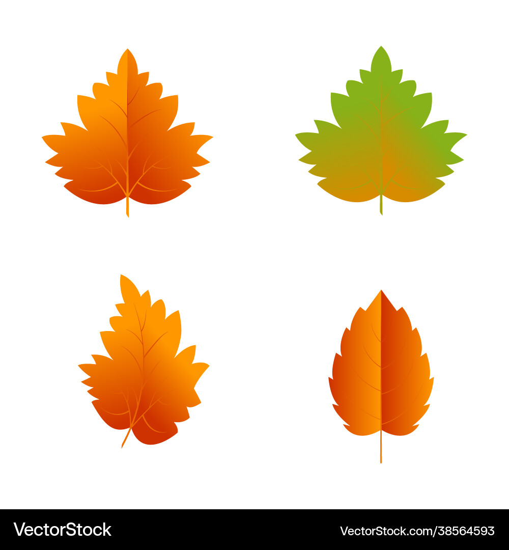 Autumn element icon design Autumn element icon design vector image