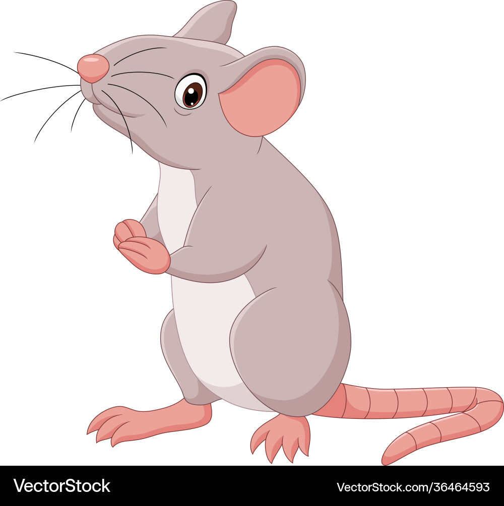Cute Cartoon Mouse Illustration vector image