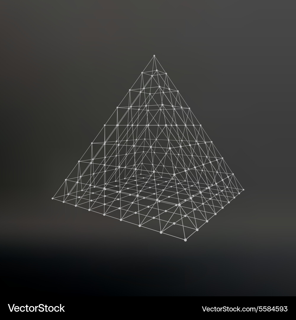 Wireframe mesh polygonal pyramid vector image