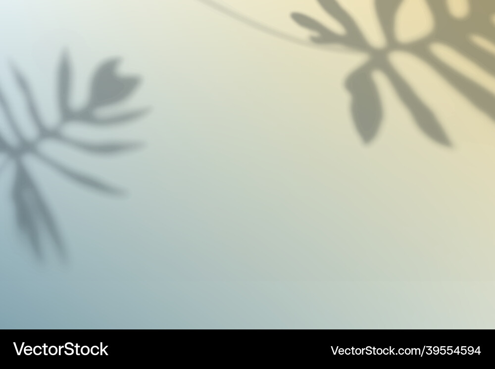 Abstract gradient background with leaf shadow vector image