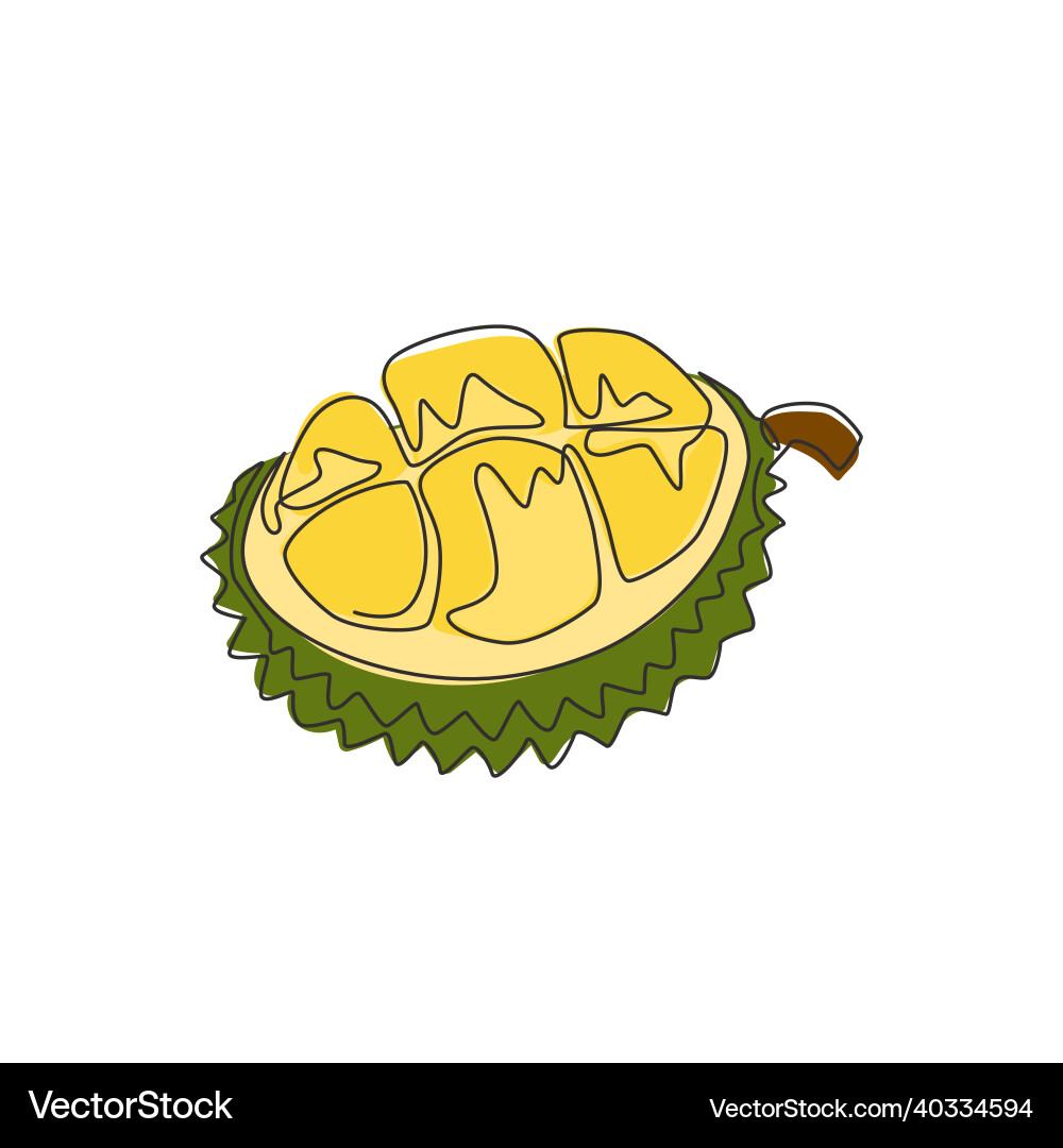 Single continuous line drawing half sliced Single continuous line drawing half sliced vector image