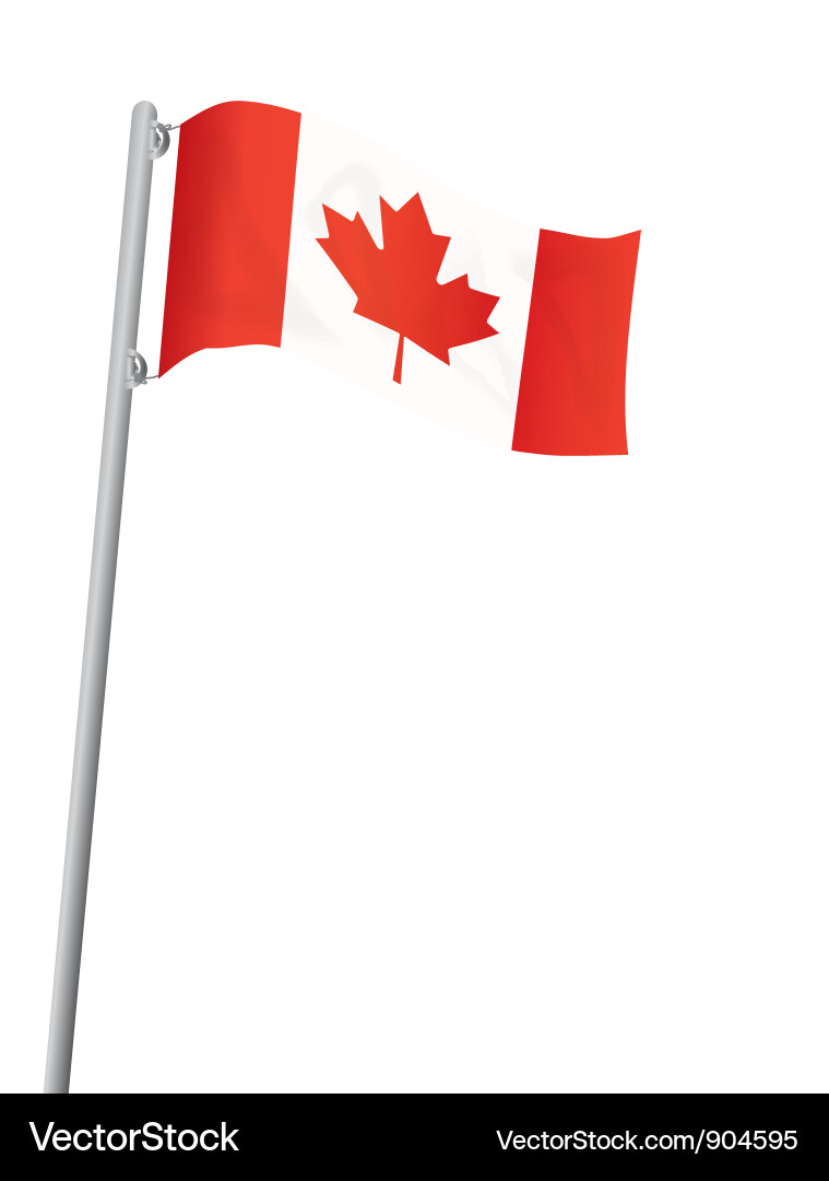 Canadian Maple Leaf Flag Royalty Free Vector Image