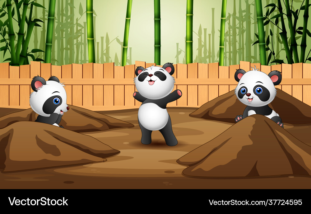 Cartoon three pandas playing in open cage Cartoon three pandas playing in open cage Vector Image