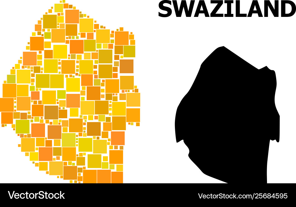 Golden square pattern map swaziland Vector Image